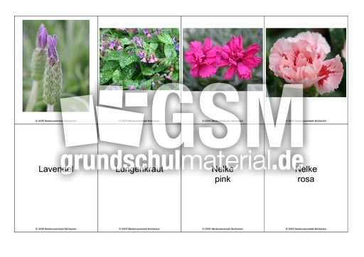 Blumen-Memo-Aufdeckspiel-17.pdf